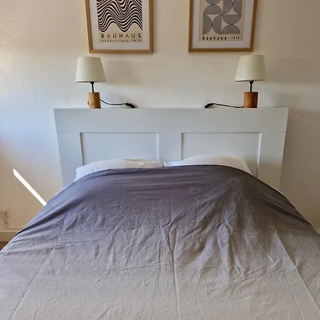 Les Flamants Roses De La Capte T2 Appartement